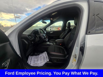 2026 Ford Escape ST-Line